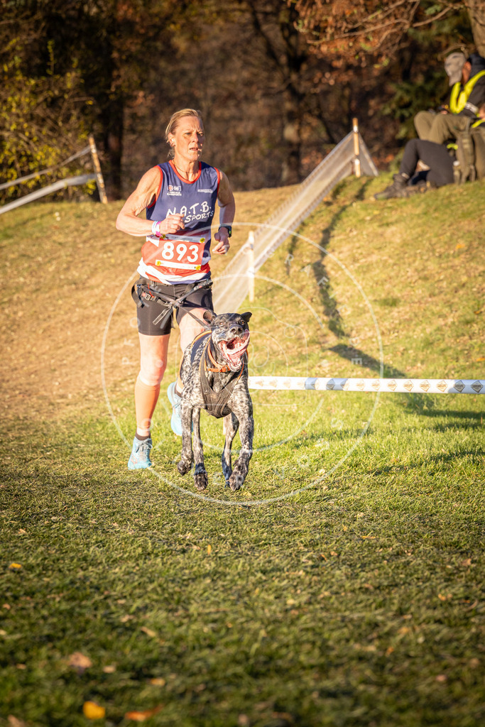 CaniXpix_0L8A1256 | Hundefotografie, Tierfotograf, Pfotenfotografie, Fotoshooting Hund, Hunde Portrait, Hundesport, Hundeportraits, Heideshooting, Hunde, Sportfotograf, Hundefotograf, Turnierhundsport, THS,  - Realisiert mit Pictrs.com