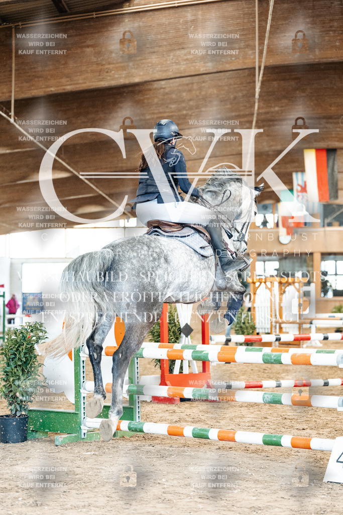 CK904882 | Turnierfotografie Pferdefotografie Trier Rheinland-Pfalz Pferdesport Reitsport Tierfotografie Sportfotografie Pferdevideo Pferdevideografie Equestrianvideography equestrianphotography  - Realized with Pictrs.com