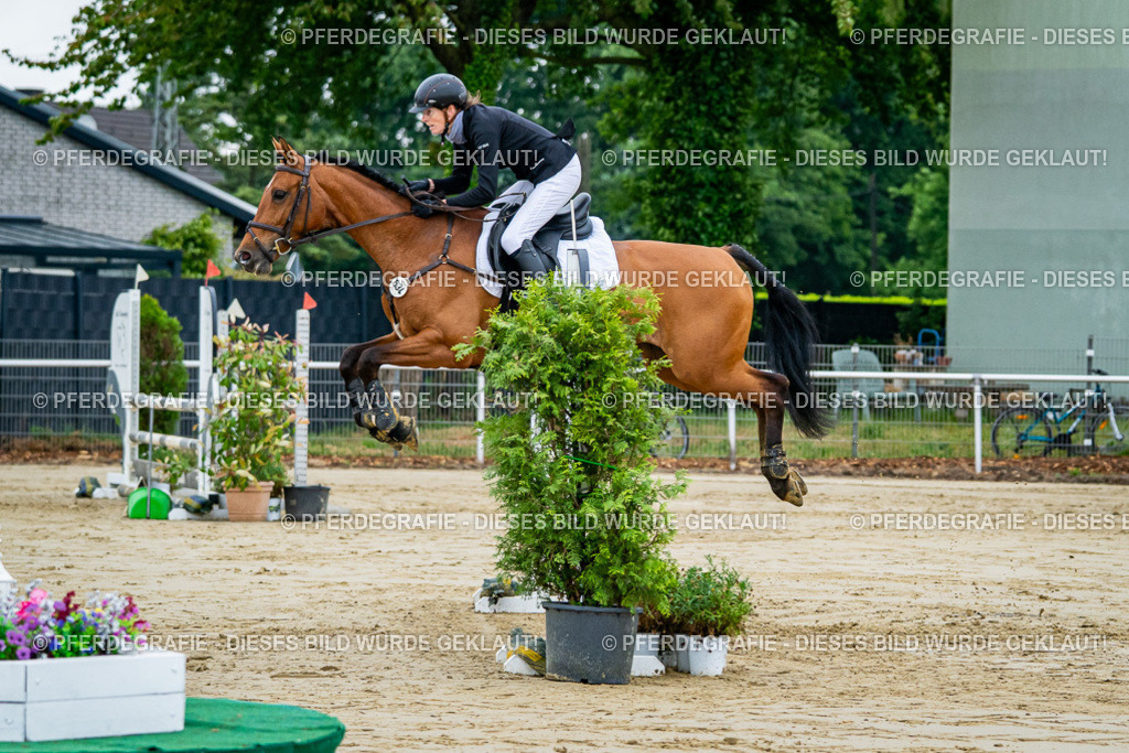 DSC02336 | Pferdegrafie