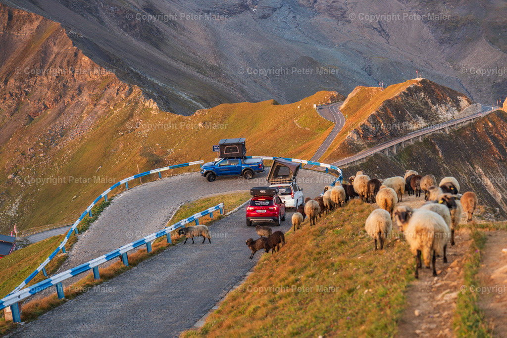 Inter_Trade_2023-417 | piet_flosse