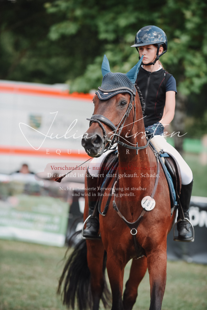 DSC_5664 | Pferde- und Turnierfotografie in Westsachsen. Pferdeportraits, Auftragszeichnungen und intuitive Kunst.
