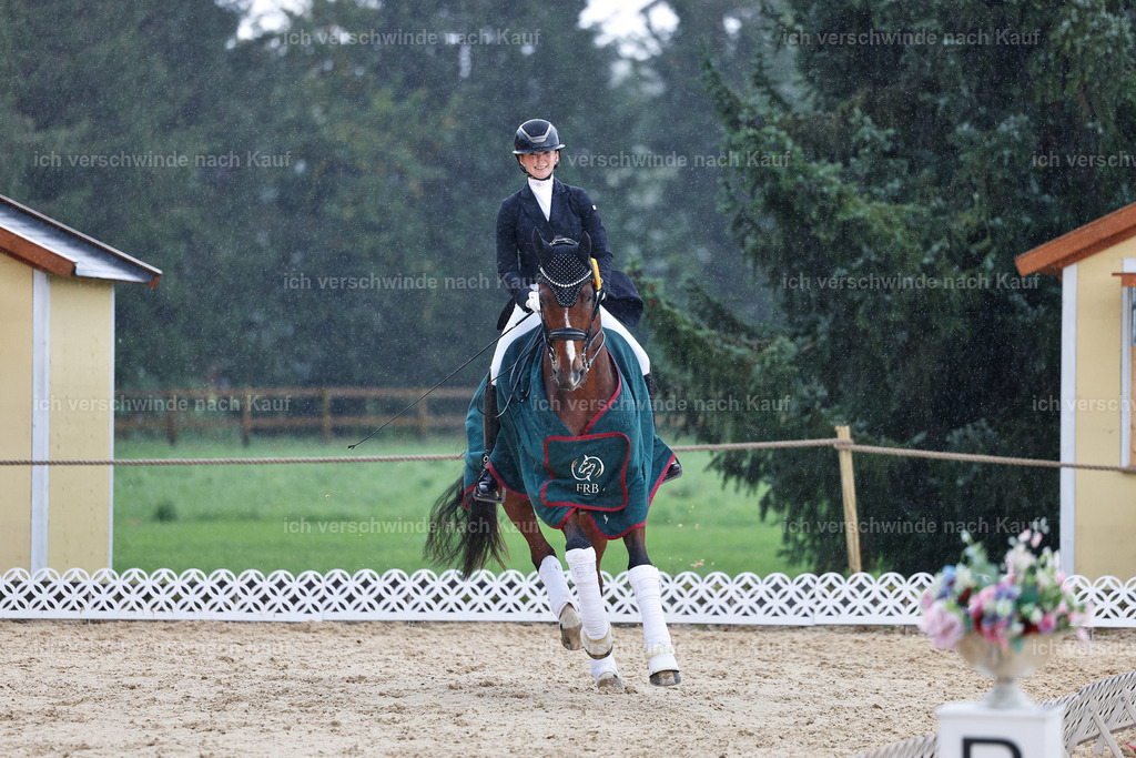07-Siegerehrung-DRESSUR  S___  -StoibPH-5105 | working equitationturnier fotograf videograf stoibphotography marixx film working equitation deutschland reitsport turnierfotografie eventfotografie equestrian events