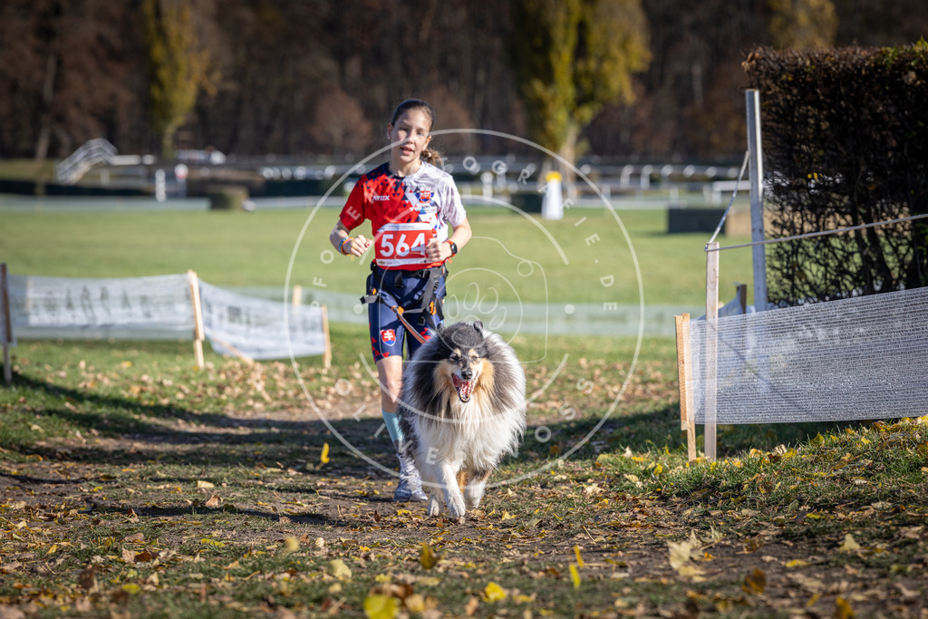 CaniXpix_DV3A8748 | Hundefotografie, Tierfotograf, Pfotenfotografie, Fotoshooting Hund, Hunde Portrait, Hundesport, Hundeportraits, Heideshooting, Hunde, Sportfotograf, Hundefotograf, Turnierhundsport, THS,  - Realisiert mit Pictrs.com