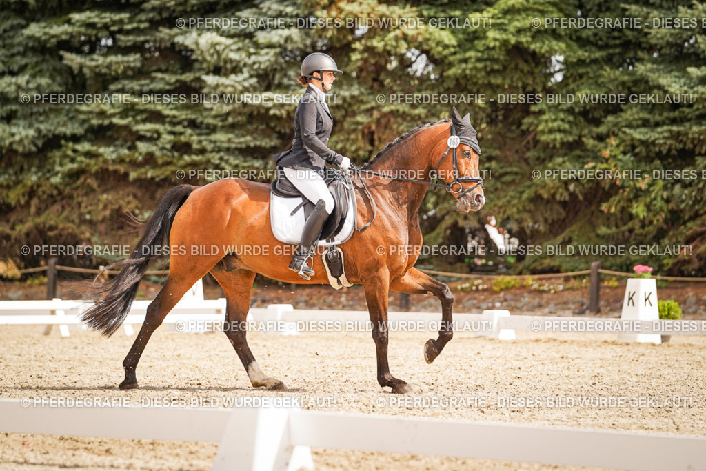 DSC01695 | Pferdegrafie