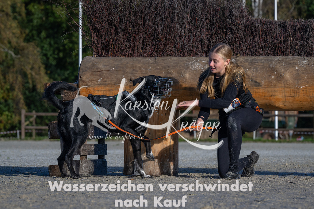 1009-_ZZ90381 | kk-dogfotos