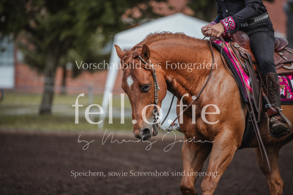 fell.o.fie_mandyjordan_2024_06_08477 | Mandy Klecke Fellfotografie, fell.o.fie Fotografenshop - Realisiert mit Pictrs.com