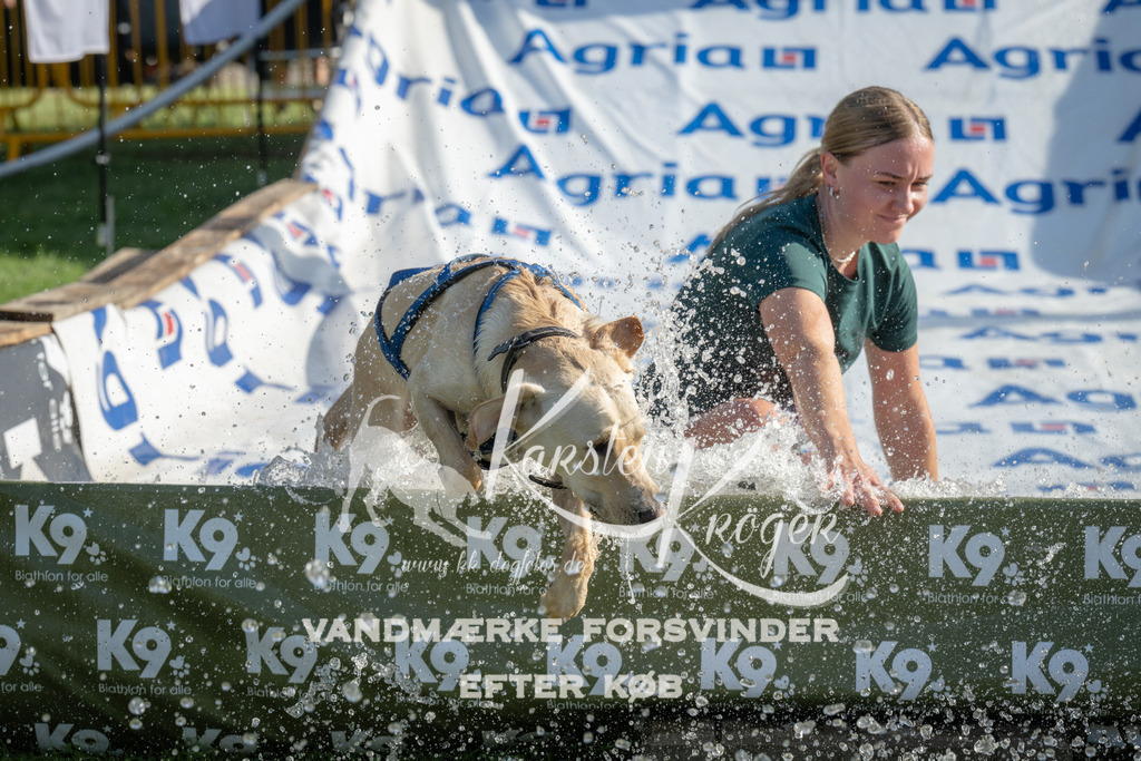 0920_ZZ94860 | kk-dogfotos