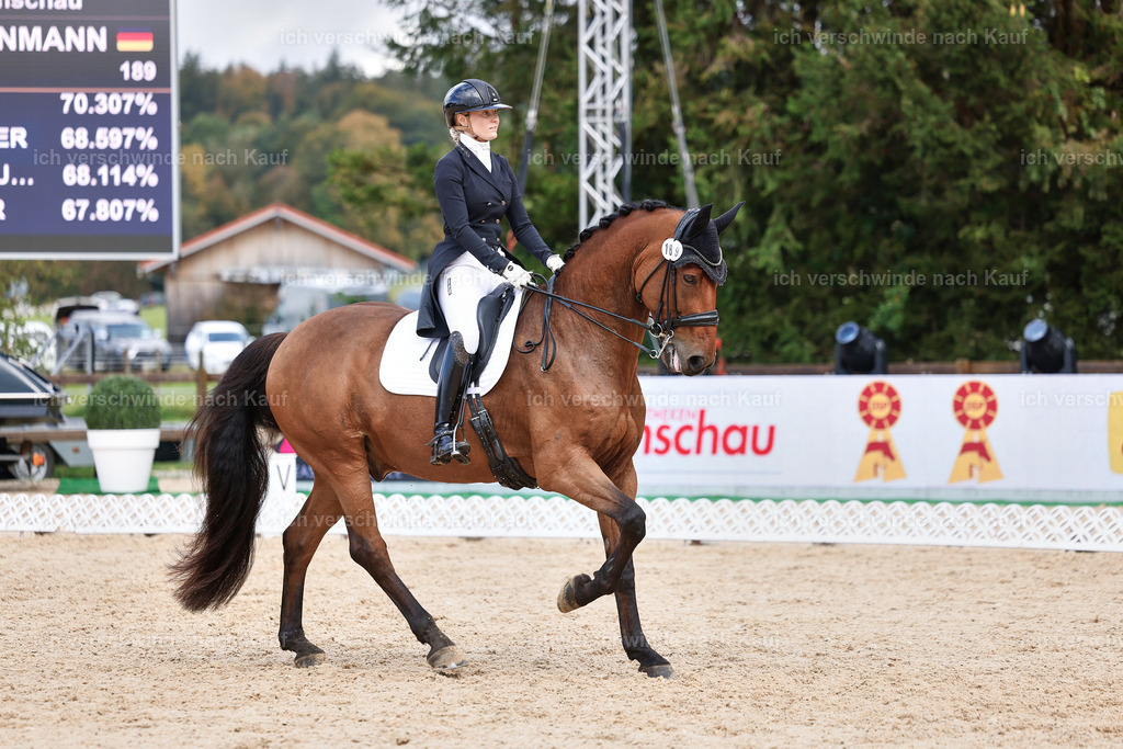 07-189-DRESSUR  S___  -StoibPH-5051 | working equitationturnier fotograf videograf stoibphotography marixx film working equitation deutschland reitsport turnierfotografie eventfotografie equestrian events
