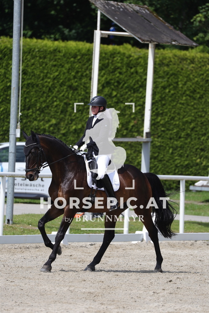 0P6A4822 | Willkommen bei Brunnmayr - Design & Fotografie – Ihrem Spezialisten für Reitturniere und Pferdeveranstaltungen in Oberösterreich, Salzburg und Bayern! Seit über 17 Jahren sind wir leidenschaftlich dabei.