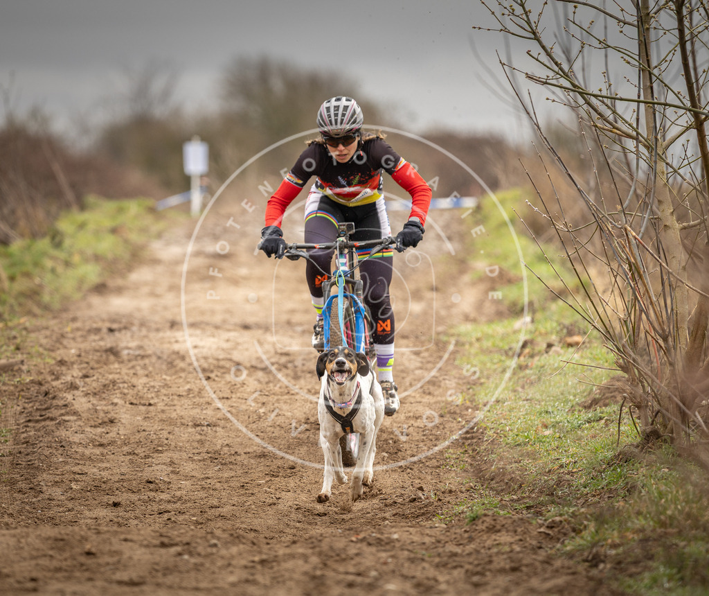 DV3A0644 | Hundefotografie, Tierfotograf, Pfotenfotografie, Fotoshooting Hund, Hunde Portrait, Hundesport, Hundeportraits, Heideshooting, Hunde, Sportfotograf, Hundefotograf, Turnierhundsport, THS,  - Realisiert mit Pictrs.com