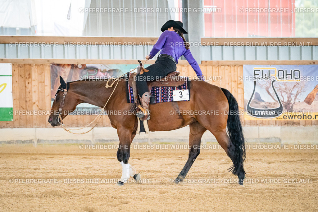 DSC06223 | Pferdegrafie