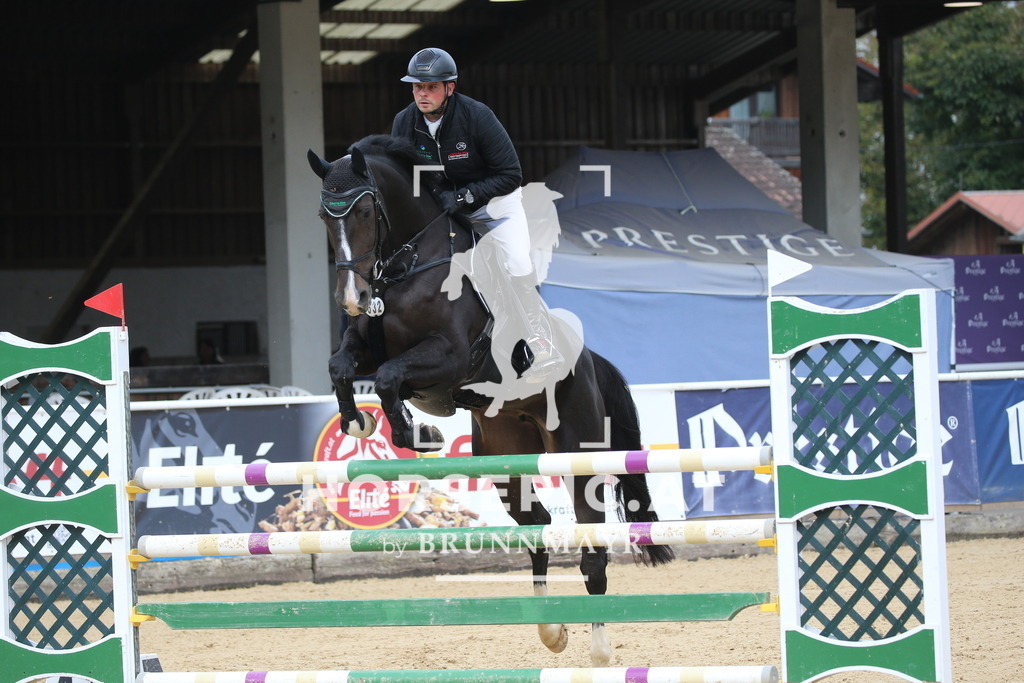 DL2Q0901 | Willkommen bei Brunnmayr - Design & Fotografie – Ihrem Spezialisten für Reitturniere und Pferdeveranstaltungen in Oberösterreich, Salzburg und Bayern! Seit über 17 Jahren sind wir leidenschaftlich dabei.