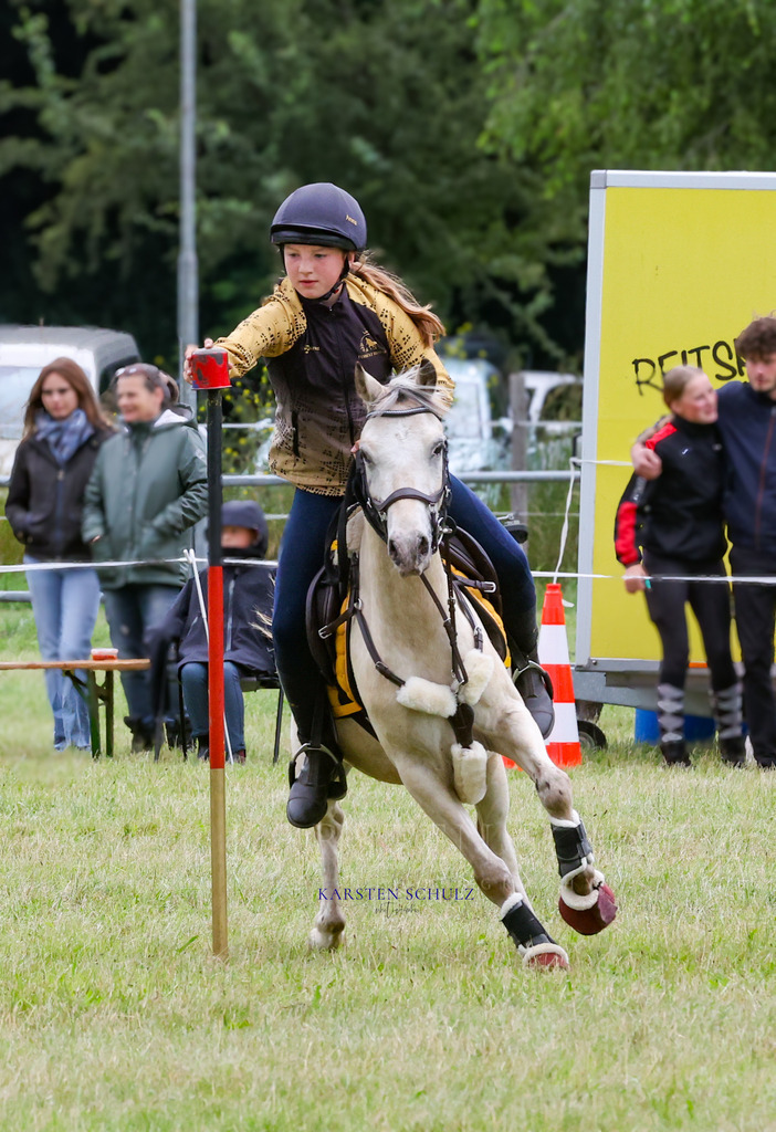 1B3A0056 | Reitsport Reiten