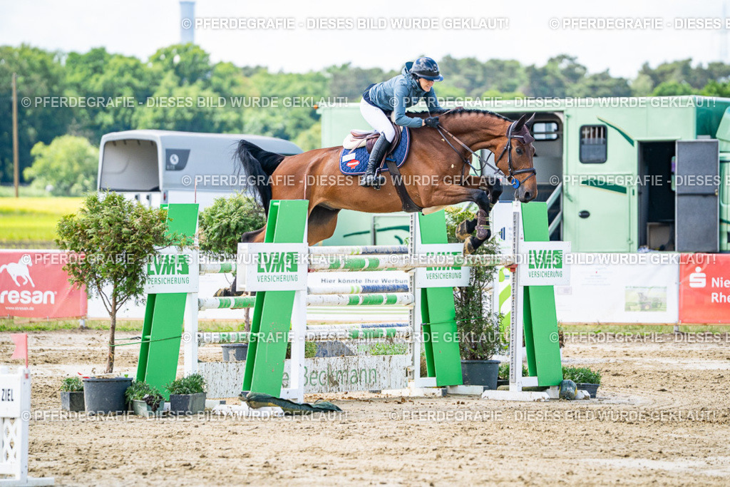 DSC04927 | Pferdegrafie