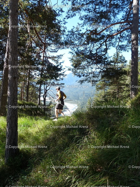 P1020020 | Michael Krenz