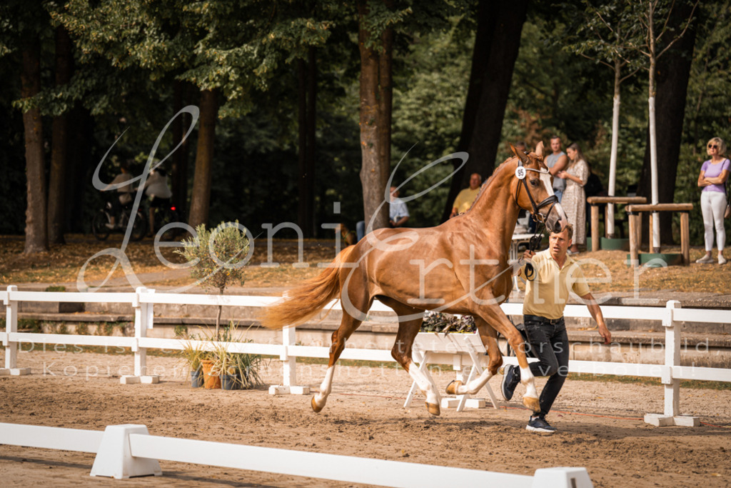 7.Fr00017 | Leoni Ertmer Photography - Realisiert mit Pictrs.com