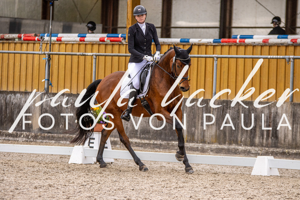 IMG_2918 | Erleben Sie dynamische Sport- und emotionale Tierfotografie in Süddeutschland mit Fotos von Paula. Spezialisiert auf Pferde- und Hundefotografie sowie Sportevents. Kontaktieren Sie mich für einzigartige und ausdrucksstarke Bilder Ihrer besonderen Momente.