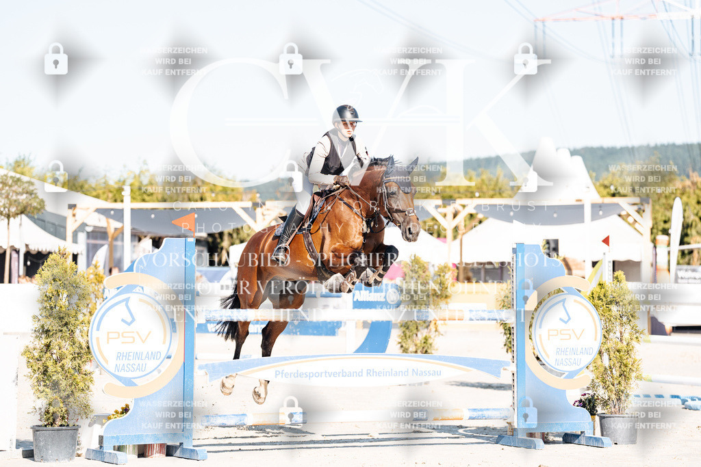 CK904568 | Turnierfotografie Pferdefotografie Trier Rheinland-Pfalz Pferdesport Reitsport Tierfotografie Sportfotografie Pferdevideo Pferdevideografie Equestrianvideography equestrianphotography  - Realisiert mit Pictrs.com