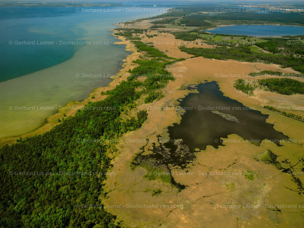 2415308 | Müritzufer am Rederangersee