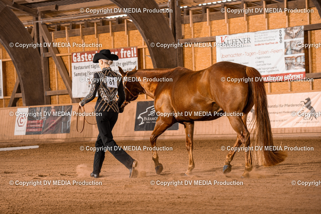 NE100022 | dv-media-shop - Realisiert mit Pictrs.com