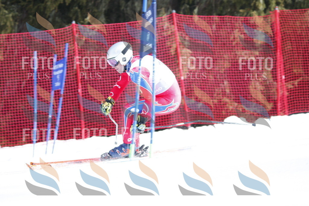 D6684 | holidayphoto