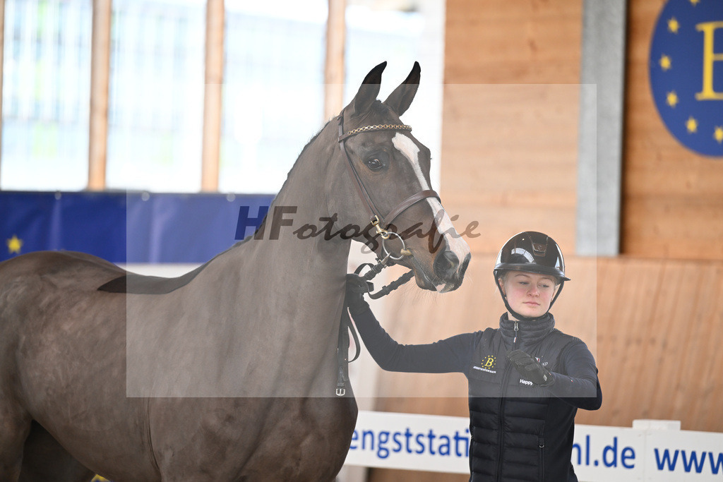 Kat-Nr. 32 Vintage SH v. Valensky_Nuessel_14260798 | hf-fotografie - Realisiert mit Pictrs.com
