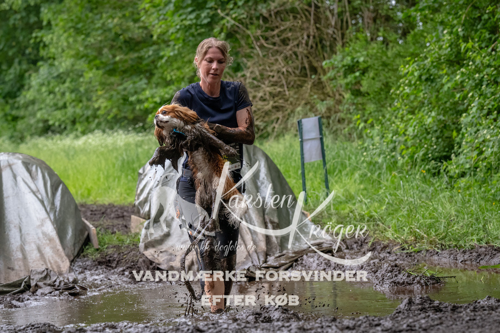 1619_ZZ93390-Bearbeitet | kk-dogfotos