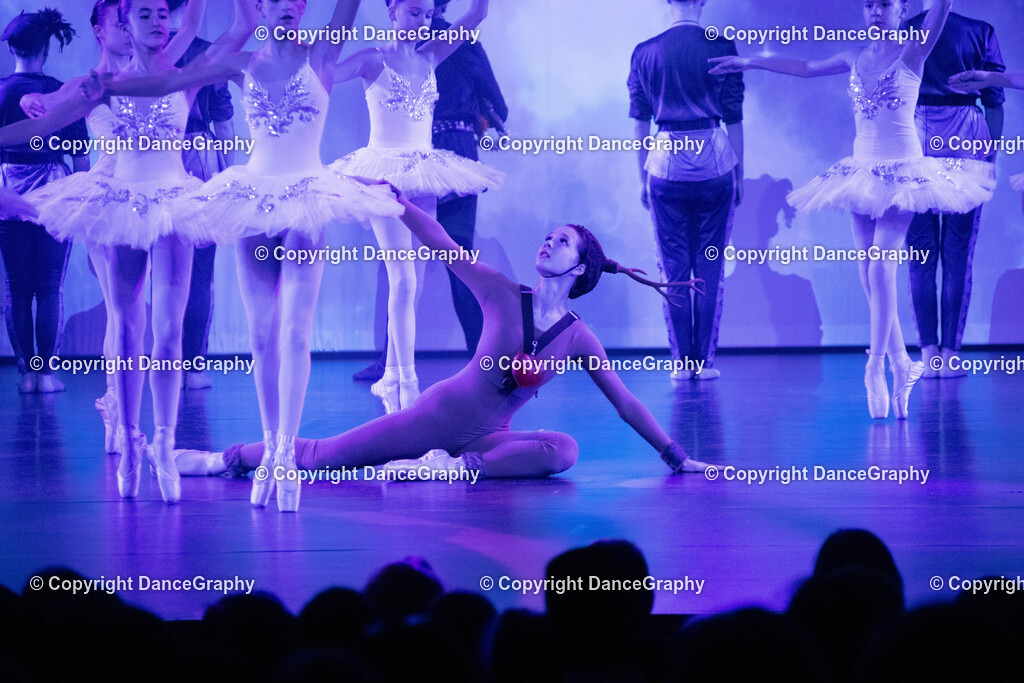 GPHY1758 | DanceGraphy - Realisiert mit Pictrs.com