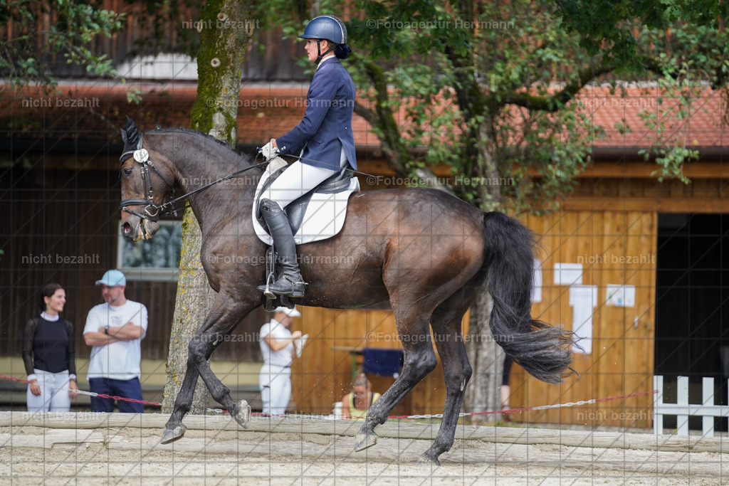 20230826-FAH05534 | Forstinning, 2023, Dressurturnier, Turniersportbilder, Turnierfotografen Bayern, Fotoagentur Herrmann, Reitsportfotografie, Turnierbilder