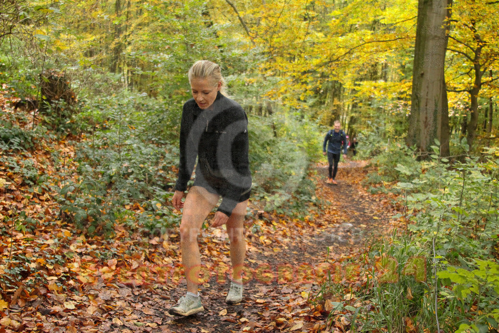 251026_1305_EV4_6475 | Sportfotografie im Rhein-Sieg Kreis, Köln, Bonn, NRW, Rheinland Pfalz, Hessen, etc. Unser Tätigkeitsfeld umfasst den Laufsport vom Volkslauf über den Marathon, Duathlon, Triathon bis zum Ultralauf wie Kölnpfad Ultra oder Schindertrail.
