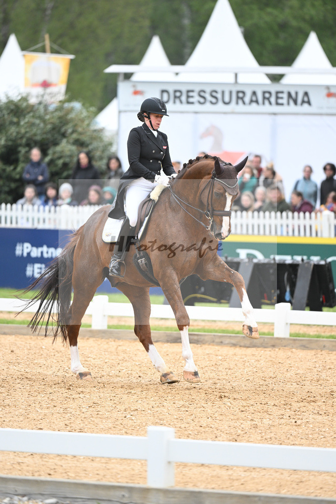 Neumayer_Sir Simon NRW_11232378 | hf-fotografie - Realisiert mit Pictrs.com