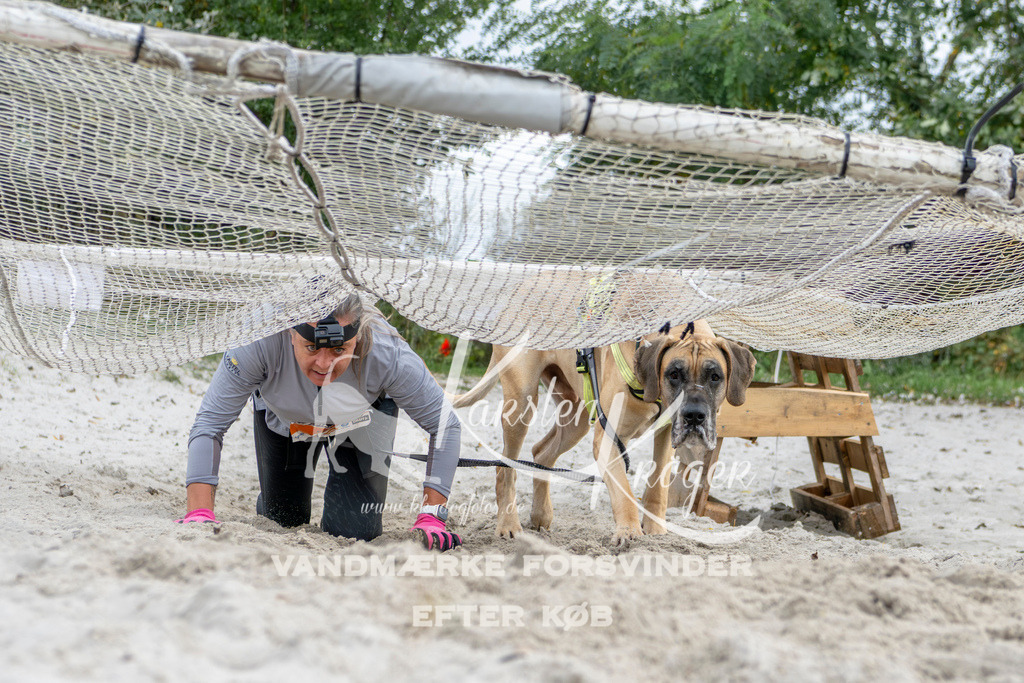 1513_ZZ93584 | kk-dogfotos