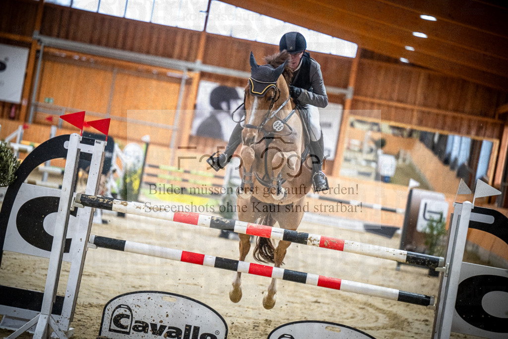 DOS_1559 | Entdecke hochwertige Reitturnierfotos von Foto Oger. Professionell, emotional und authentisch – jetzt Lieblingsmomente im Shop bestellen.Deutschlandweite Turnierfotografie. - Realisiert mit Pictrs.com