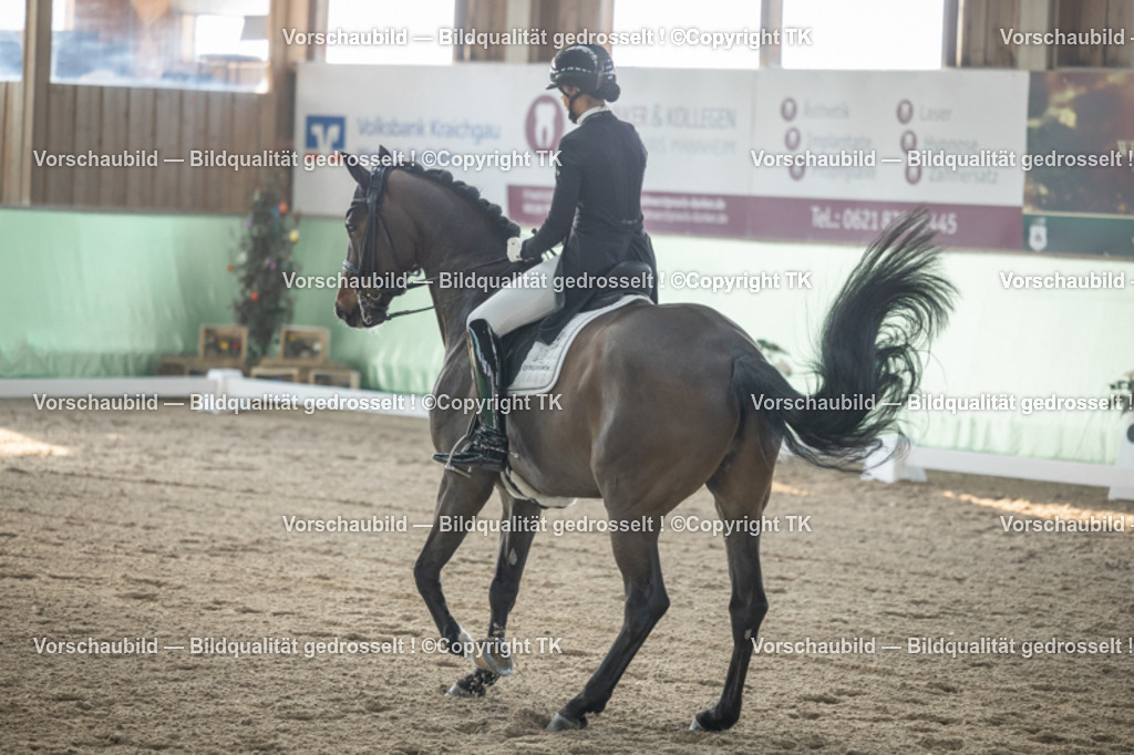 _D5A8047 | Emotionale Pferde- & People-Fotografie rund um Heidelberg, Leimen & Umgebung. Natürliche Fotos von Pferd, Mensch & Familie. Jetzt Termin sichern!