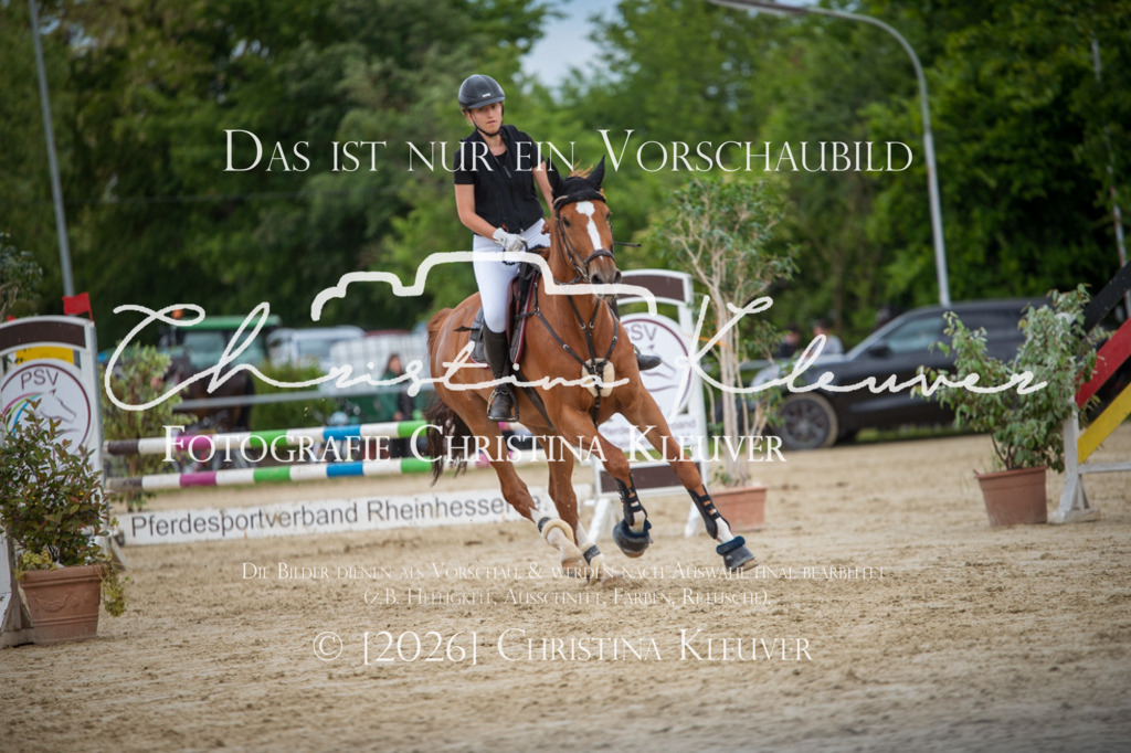 DSC_2897 | Christina-Kleuver