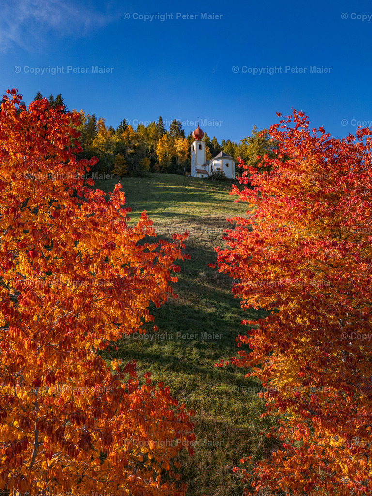 Winklern_Herbst_22-6 | piet_flosse