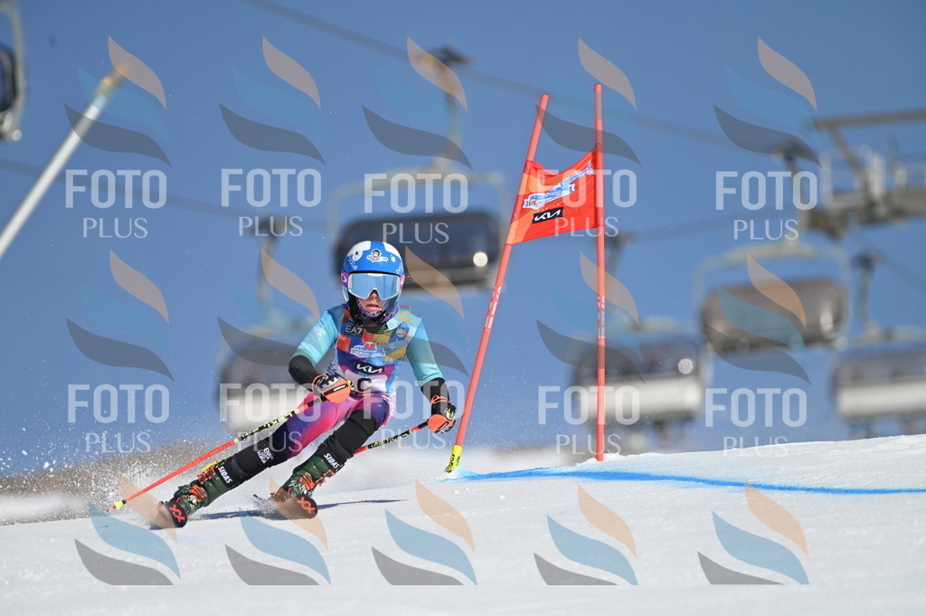 BGV_7557 | holidayphoto