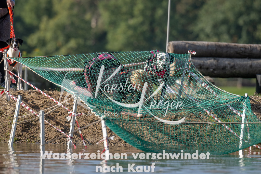 1116_ZZ92107 | kk-dogfotos