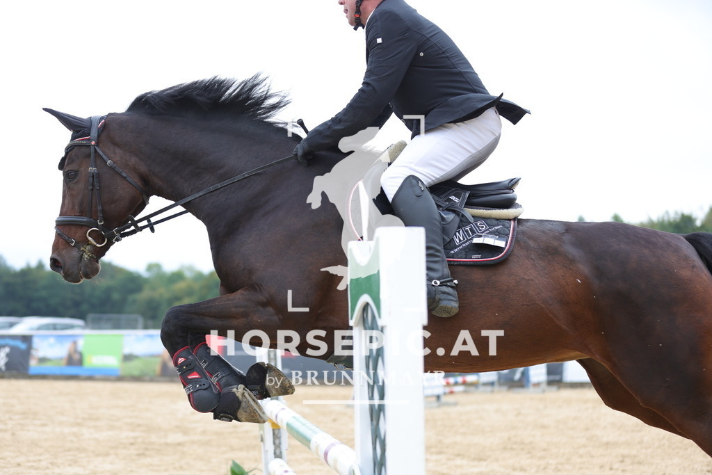 0P6A7609 | Willkommen bei Brunnmayr - Design & Fotografie – Ihrem Spezialisten für Reitturniere und Pferdeveranstaltungen in Oberösterreich, Salzburg und Bayern! Seit über 17 Jahren sind wir leidenschaftlich dabei.