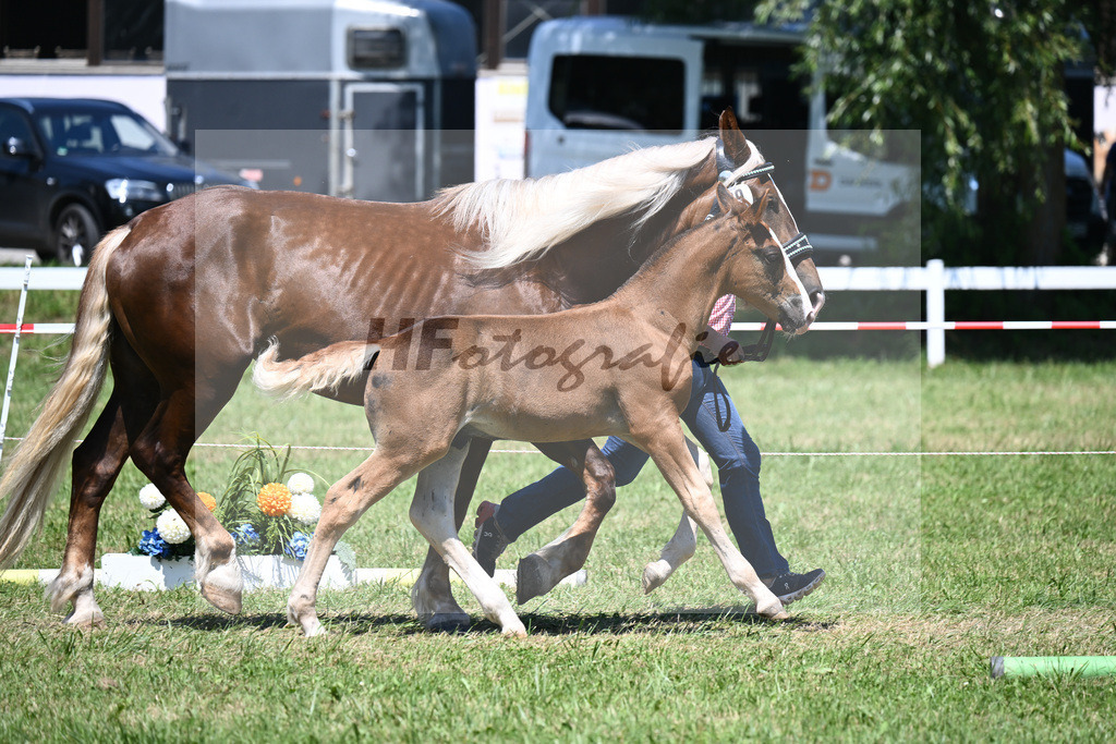 Kat-Nr. 29 HF Sixl x Jurano_Schmid_26240497 | hf-fotografie - Realisiert mit Pictrs.com