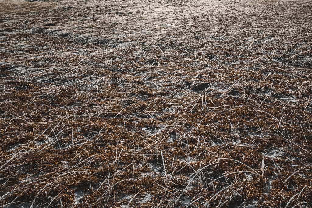 NQ8A6714 | ap-design // andreas plenk - Realisiert mit Pictrs.com