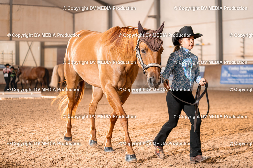 LM Heiligenwald Tag 1-34 | dv-media-shop - Realisiert mit Pictrs.com