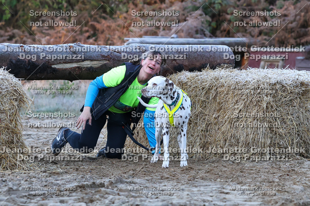 Dog Paparazzi - Strongdog 10-25-301 | Dog Paparazzi Jeanette Grottendiek Fotografie & Videografie - Realisiert mit Pictrs.com