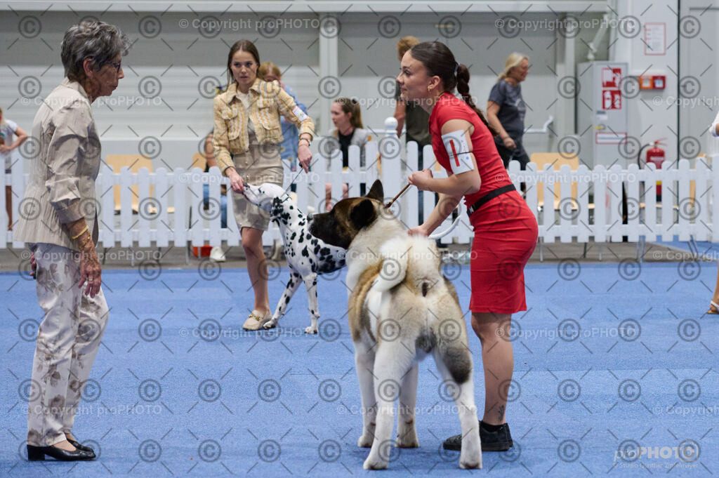 202406_ÖKV-IHA-Tulln24_DSC_3324 | proPHOTO - Realisiert mit Pictrs.com