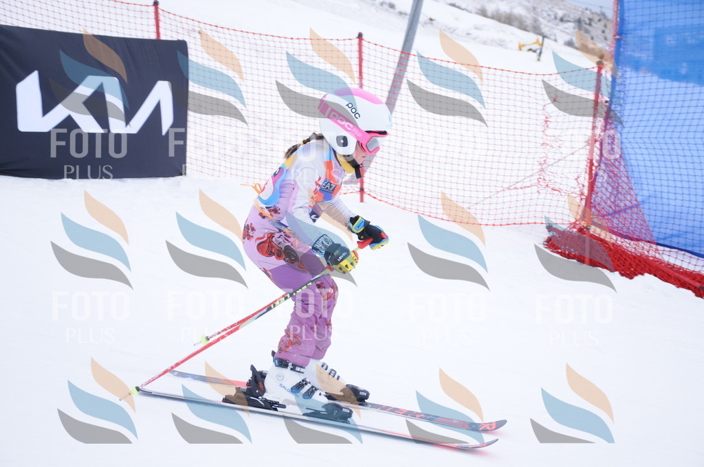 DSC_7843 | holidayphoto