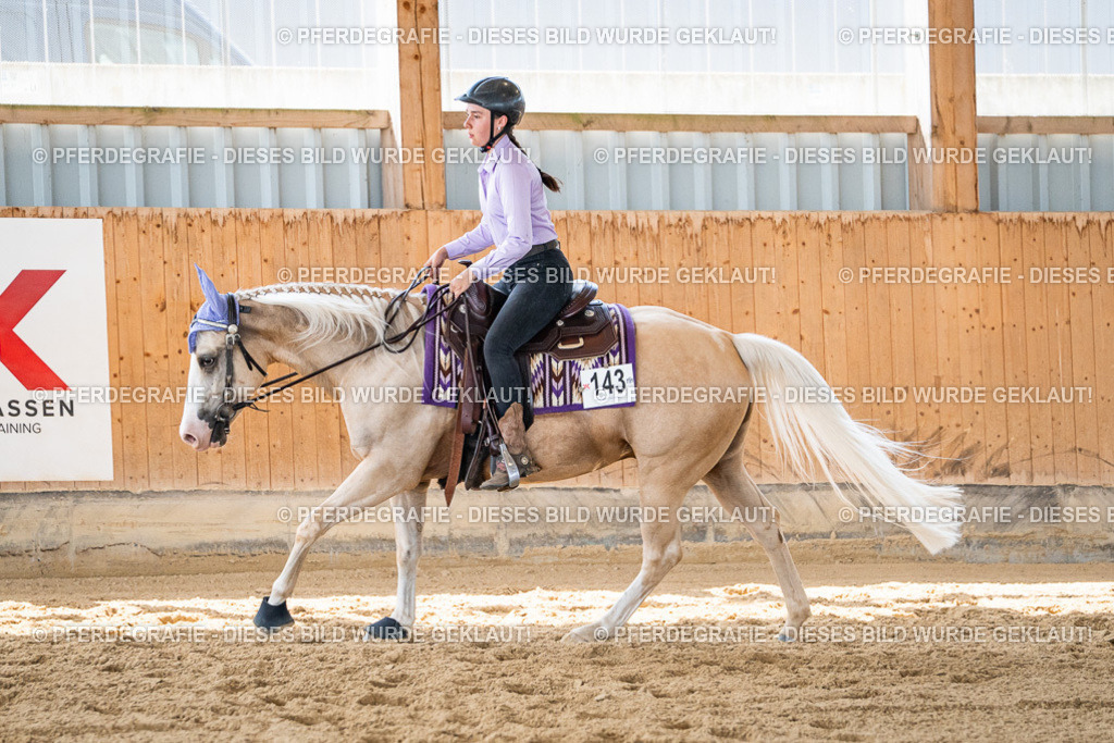 DSC03464 | Pferdegrafie