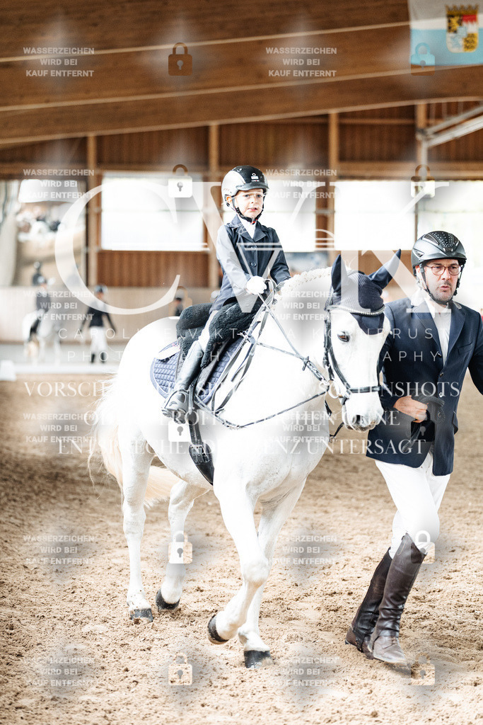 CK901887 | Turnierfotografie Pferdefotografie Trier Rheinland-Pfalz Pferdesport Reitsport Tierfotografie Sportfotografie Pferdevideo Pferdevideografie Equestrianvideography equestrianphotography  - Realized with Pictrs.com