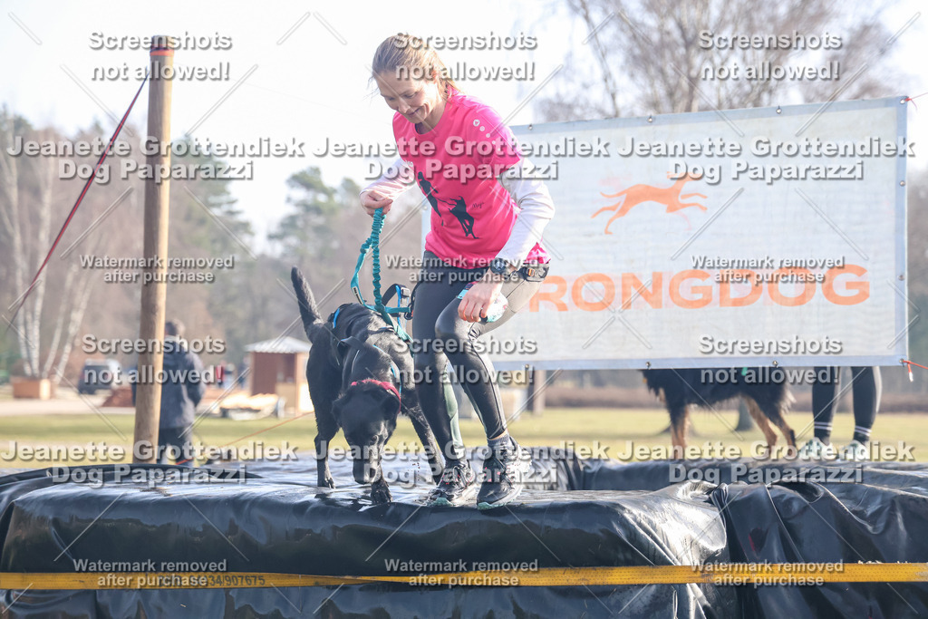 Dog Paparazzi - Strongdog North Mrz26-217 | Dog Paparazzi Jeanette Grottendiek Fotografie & Videografie - Realisiert mit Pictrs.com