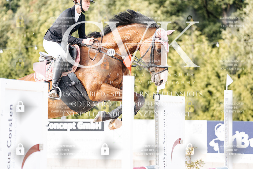 CK906814 | Turnierfotografie Pferdefotografie Trier Rheinland-Pfalz Pferdesport Reitsport Tierfotografie Sportfotografie Pferdevideo Pferdevideografie Equestrianvideography equestrianphotography  - Realisiert mit Pictrs.com