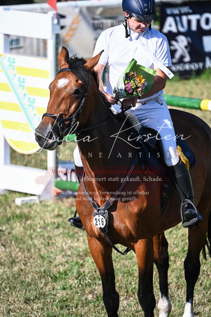 DSC_2619 | Pferde- und Turnierfotografie in Westsachsen. Pferdeportraits, Auftragszeichnungen und intuitive Kunst.
